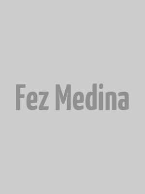 Fez Medina Walk